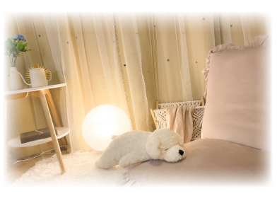 完全個室&宿泊可能の説明画像